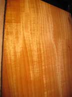 Cuban Mahogany